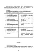 Biznesa plāns 'Veikala mārketinga plāns', 6.