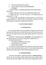 Referāts 'Valūtas tirgus un valūtas darījumi', 11.