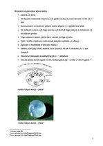 Prezentācija 'Ehinokokoze', 5.