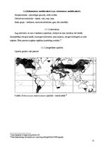 Prezentācija 'Ehinokokoze', 10.