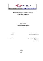 Referāts 'Mikroblogošana', 1.