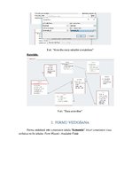 Paraugs 'Ievades un izvades formas', 8.