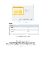 Paraugs 'Ievades un izvades formas', 11.