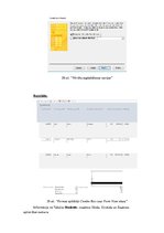 Paraugs 'Ievades un izvades formas', 20.