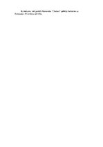 Paraugs 'Ievades un izvades formas', 36.