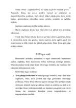 Referāts 'Tēmas "Ražošana un mārketings" mācīšana biznesa ekonomikas pamatos', 10.