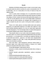 Referāts 'Grāmatvedības datorizācija un tās iespējas Latvijā', 3.