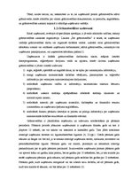 Referāts 'Grāmatvedības datorizācija un tās iespējas Latvijā', 6.