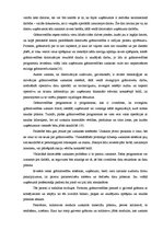 Referāts 'Grāmatvedības datorizācija un tās iespējas Latvijā', 10.