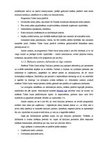 Referāts 'Grāmatvedības datorizācija un tās iespējas Latvijā', 17.