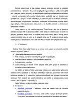 Referāts 'Grāmatvedības datorizācija un tās iespējas Latvijā', 19.