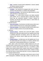 Referāts 'Grāmatvedības datorizācija un tās iespējas Latvijā', 20.