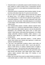 Referāts 'Grāmatvedības datorizācija un tās iespējas Latvijā', 29.