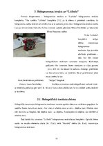 Referāts 'Hologrammu un pseidohologrammu atšķirība', 15.