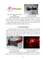 Referāts 'Hologrammu un pseidohologrammu atšķirība', 16.