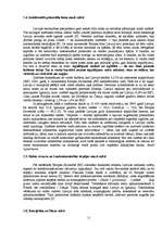 Referāts 'Mazas valsts iespējas globalizācijas un naftas krīzes laikmetā', 11.