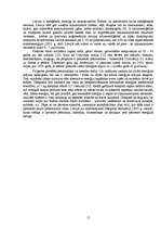 Referāts 'Mazas valsts iespējas globalizācijas un naftas krīzes laikmetā', 12.