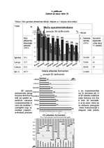 Referāts 'Mazas valsts iespējas globalizācijas un naftas krīzes laikmetā', 18.