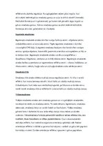 Konspekts 'Cilvēka galvas smadzenes, to funkcijas un raksturojums', 3.