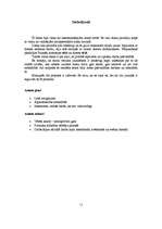 Referāts 'Siguldas novada domes priekšsēdētāja vietnieka ēna', 15.