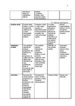 Referāts 'Projekta plāns - a/s "Laima" tehnoloģisko informācijas sistēmu pilnveidošana', 8.