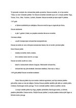 Referāts 'Hanzas savienība', 4.