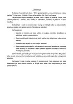 Referāts 'Matu ķīmiskā apstrāde un matu krāsas saikne ar matu īpašībām', 2.