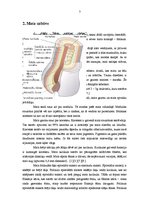 Referāts 'Matu ķīmiskā apstrāde un matu krāsas saikne ar matu īpašībām', 7.