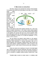 Referāts 'Matu ķīmiskā apstrāde un matu krāsas saikne ar matu īpašībām', 12.