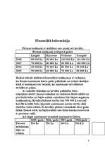 Biznesa plāns 'Biznesa plāns SIA "Logi"', 9.