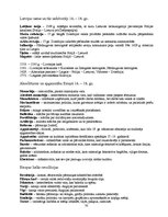 Konspekts 'Vēture - termini un gada skaitļi', 2.