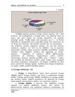 Referāts 'Līzings: noformēšana un uzskaite', 6.
