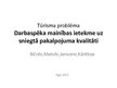 Referāts 'Darbaspēka mainības ietekme uz sniegtā pakalpojuma kvalitāti', 9.