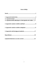 Referāts 'Līgumsoda samērīgums un taisnīgums', 2.