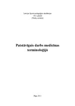 Konspekts 'Terminelementu skaidrojums', 1.