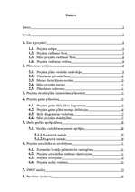 Referāts 'Projekts', 1.