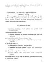 Referāts 'Projekts', 4.