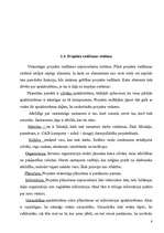 Referāts 'Projekts', 7.