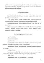 Referāts 'Projekts', 8.