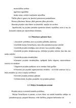 Referāts 'Projekts', 9.