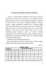 Referāts 'Projekts', 12.