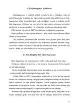 Referāts 'Projekts', 14.