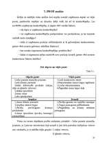 Referāts 'Projekts', 26.