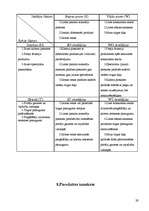 Referāts 'Projekts', 28.