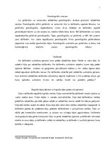 Referāts 'Sabiedrība ar ierobežotu atbildību un akciju sabiedrība', 3.