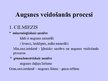 Prezentācija 'Augsne', 4.