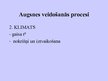 Prezentācija 'Augsne', 6.