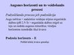Prezentācija 'Augsne', 10.