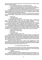 Diplomdarbs 'Sieviešu futbola komandu komercializācijas programma Latvijā', 33.