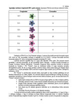 Diplomdarbs 'Sieviešu futbola komandu komercializācijas programma Latvijā', 43.